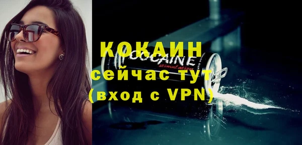 твердый Пестово