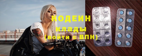 круглые Пересвет