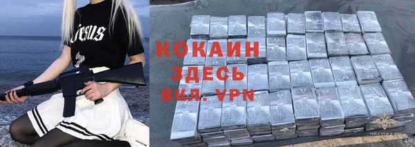 круглые Пересвет