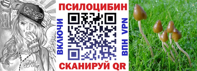 Купить  Жуковка  Псилоцибиновые грибы Cubensis 